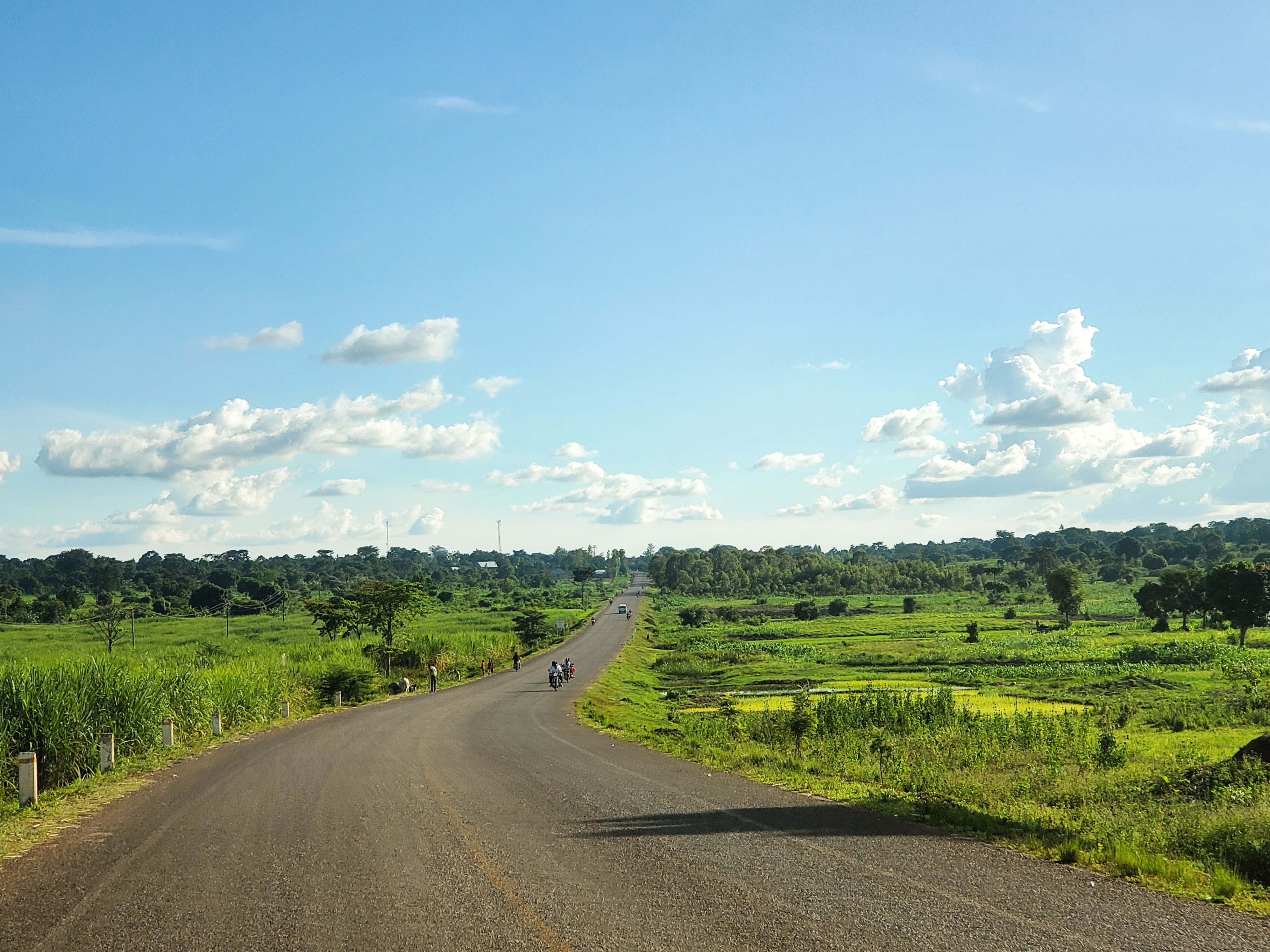 Busoga landscape